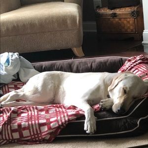 Meet your Posher, Josh